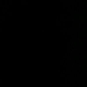 Meet your Posher, Toni